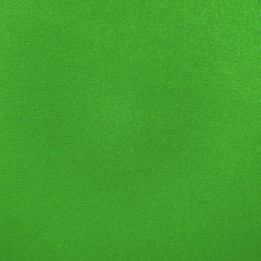 Brushed Nylon Loop Chroma Green | Sauleda