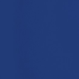 Coated Vinyl 18oz Navy – Coated Vinyl Fabric | Sauleda