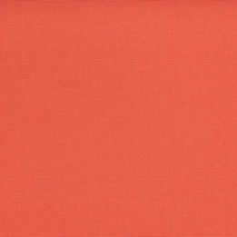 Liso Tomato | Agora Liso | Sauleda USA
