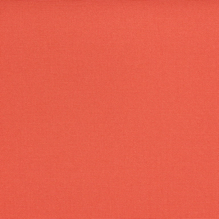 Liso Tomato | Agora Liso | Sauleda USA