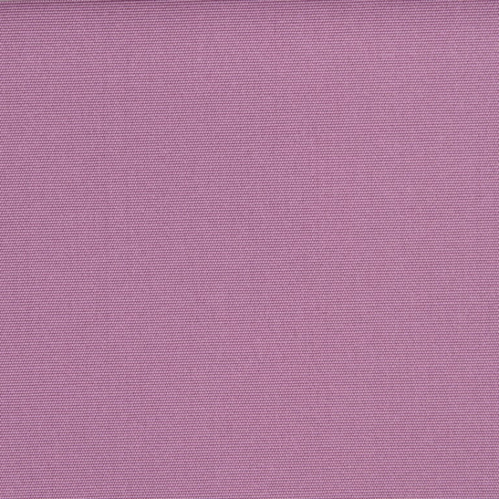 Liso Grape | Agora Liso | Sauleda USA