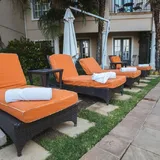 Sun Loungers
